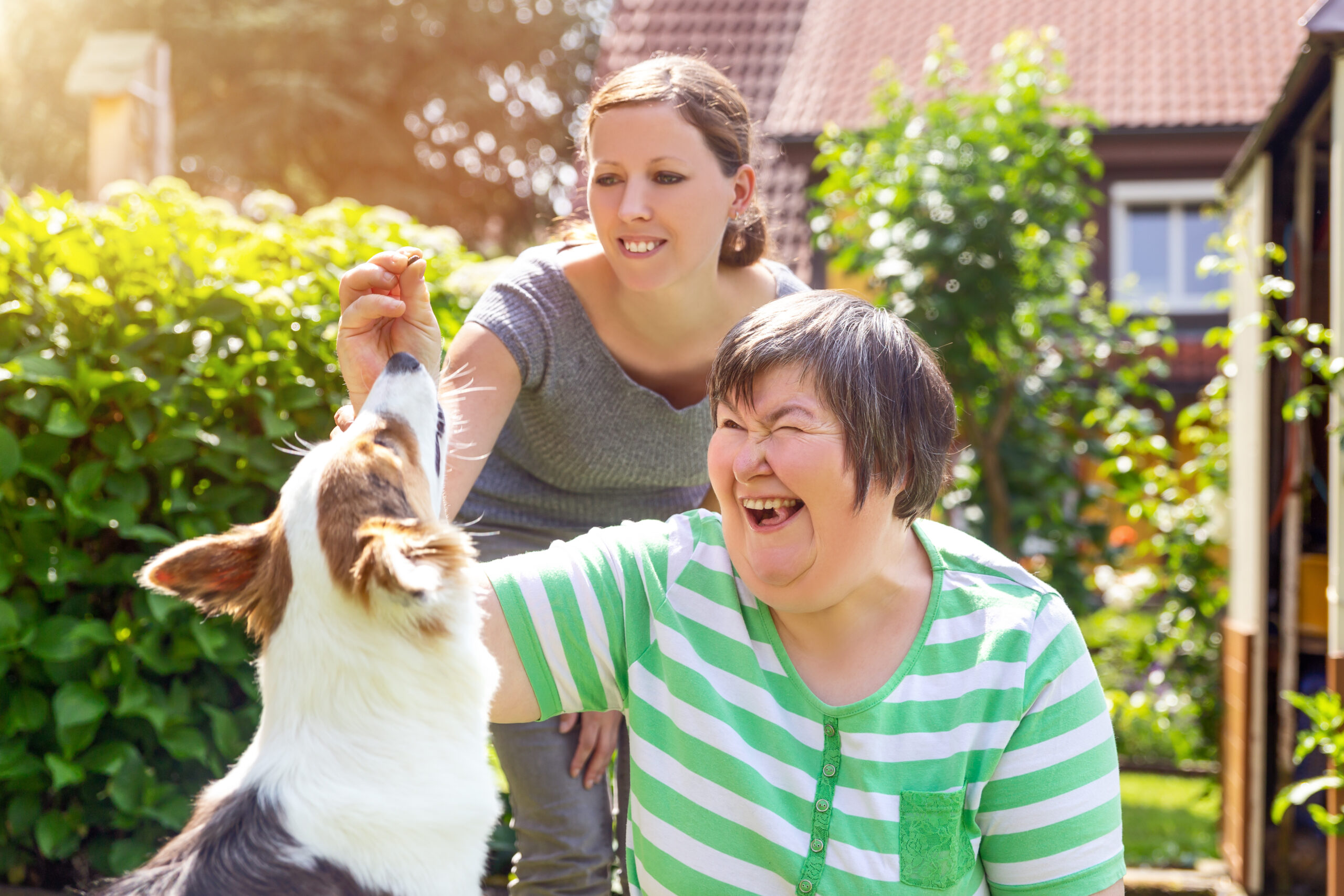 NDIS Software